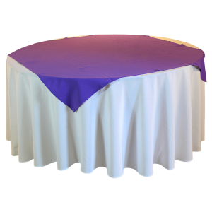 Carpeta Lila